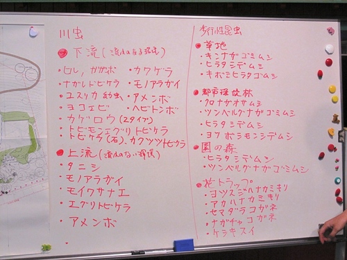 サマーワークショップ レクチャー 昆虫の種類.jpg