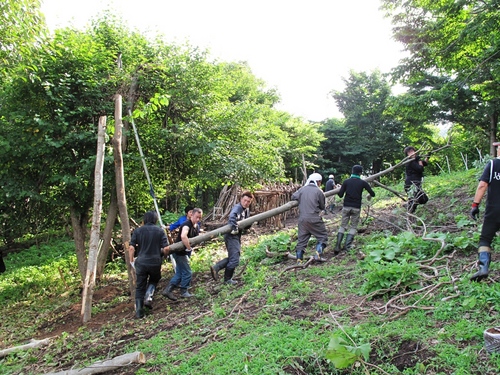 サマーワークショップ 生物の塔.jpg