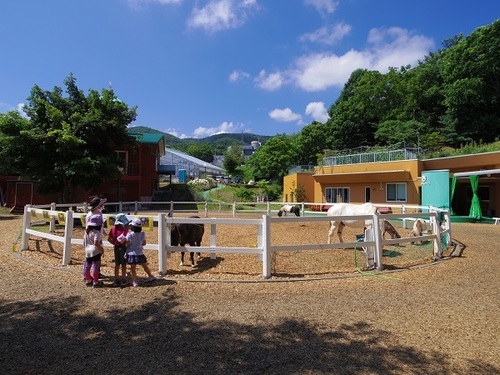夏空.jpg