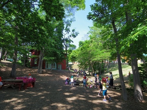 林 全景.jpg