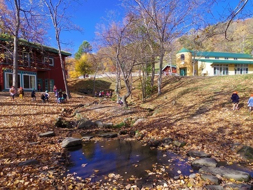 林 全景.jpg