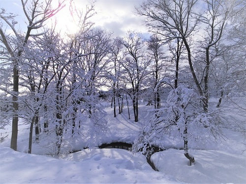 樹氷 リサイズ.jpg