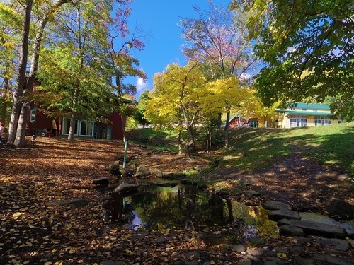 紅葉 林.jpg